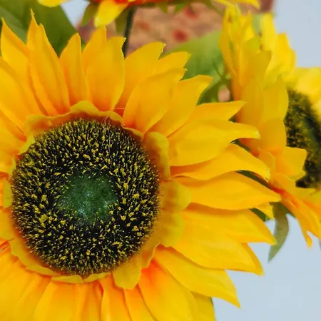 Casa vacanze Casa Luna Y Sol