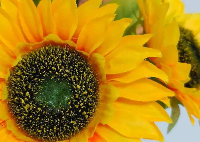 Dom wakacyjny Casa Luna Y Sol